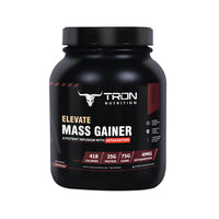 Elevate Mass Gainer