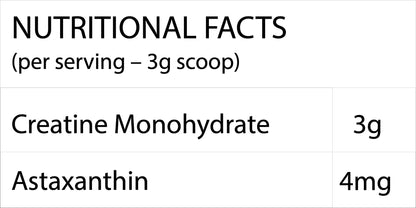 Tron Micronised Creatine